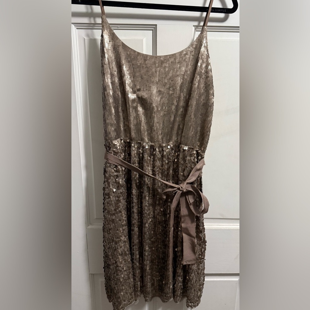 Express Shimmering Sequin Dress